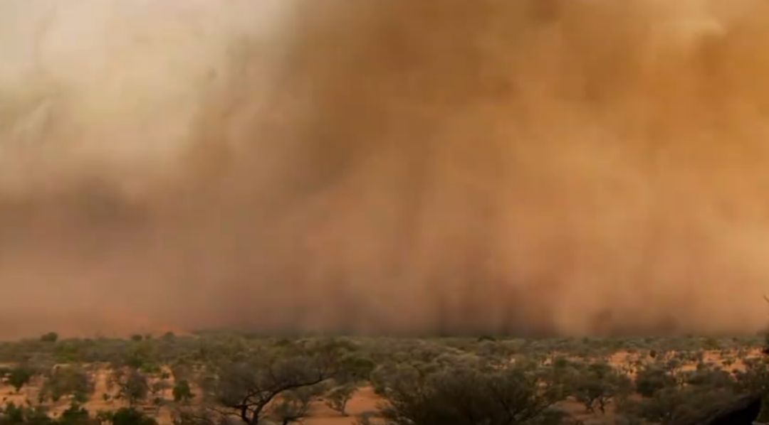 【泛亚电竞官网】细菌性阴道炎与婚育