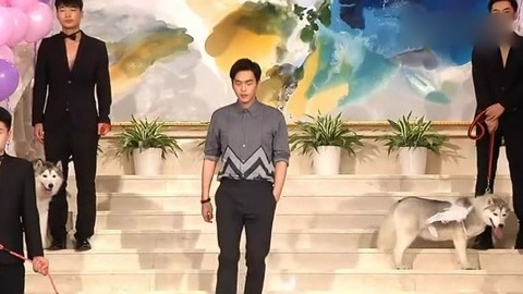 羊肚菌多少钱一斤？为什么那么贵？羊肚菌的功效作用-泛亚电竞官网