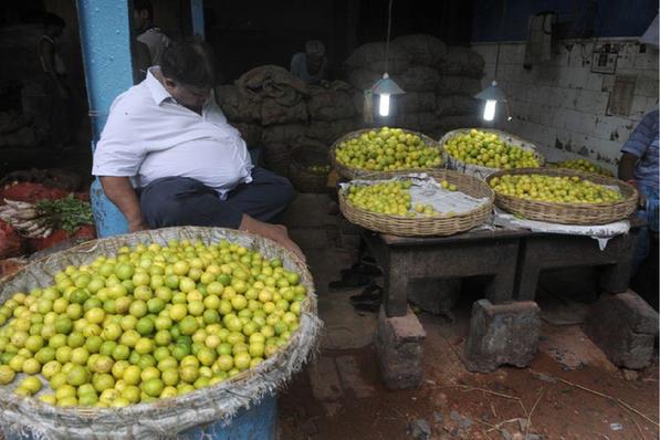 日本料理的鲷鱼是什么品种|泛亚电竞