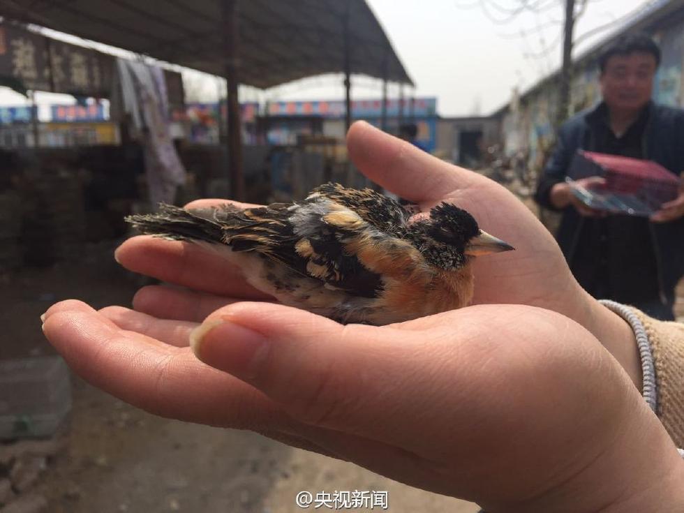 保证砌筑工程质量措施有哪些?-泛亚电竞(图3) 泛亚电竞