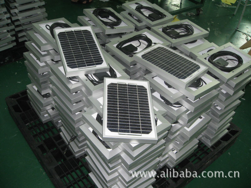 荞麦 秋天种秋天收【泛亚电竞】