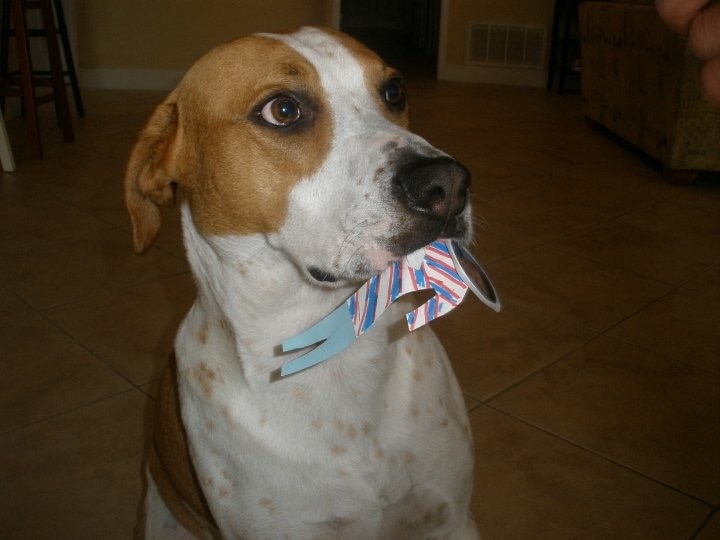 滴滴宣布8月27日起 全国下线顺风车业务:泛亚电竞官网(图3) 泛亚电竞平台