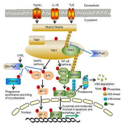 泛亚电竞|
汽车仪表盘上的三个灯 你都相识吗?如果亮起 赶快停车(图7) 泛亚电竞