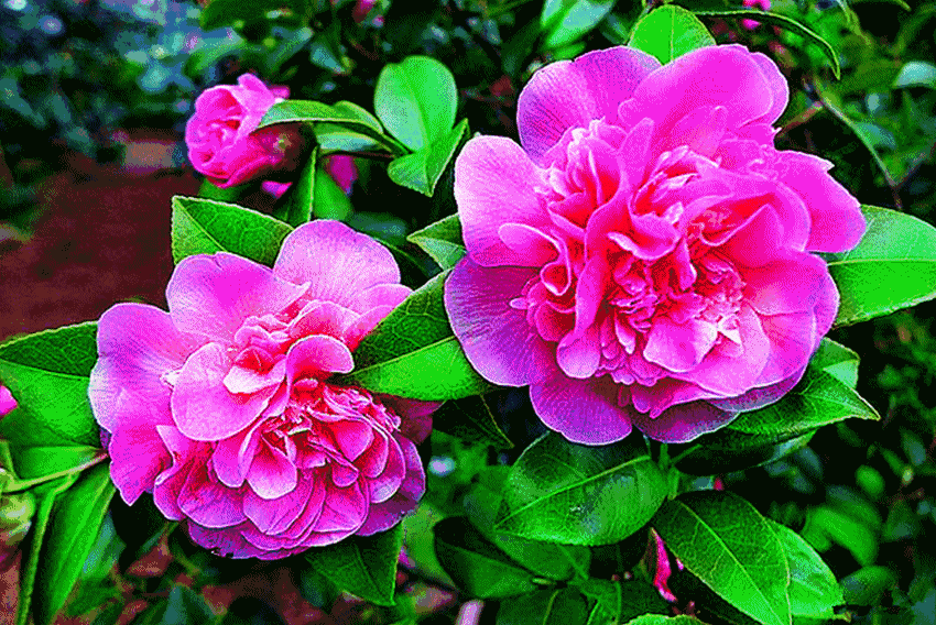 “泛亚电竞官网”地基处理与桩基施工-锤击沉桩施工