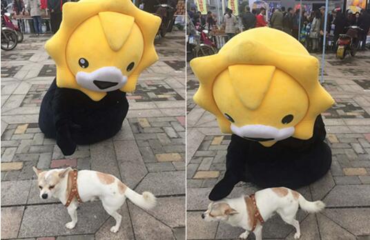 起亚汽车10月全球销量公布 环比增长5.5%【泛亚电竞平台】