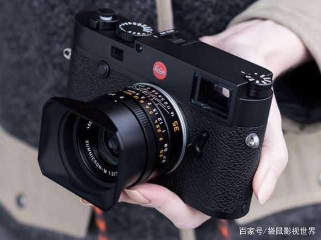 中国玉米贸易相关政策汇总‘泛亚电竞官网’