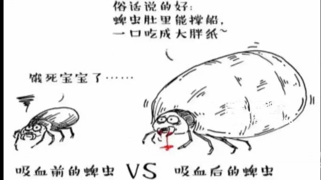 世界最大“漩涡”梅溪湖城市岛封顶-泛亚电竞