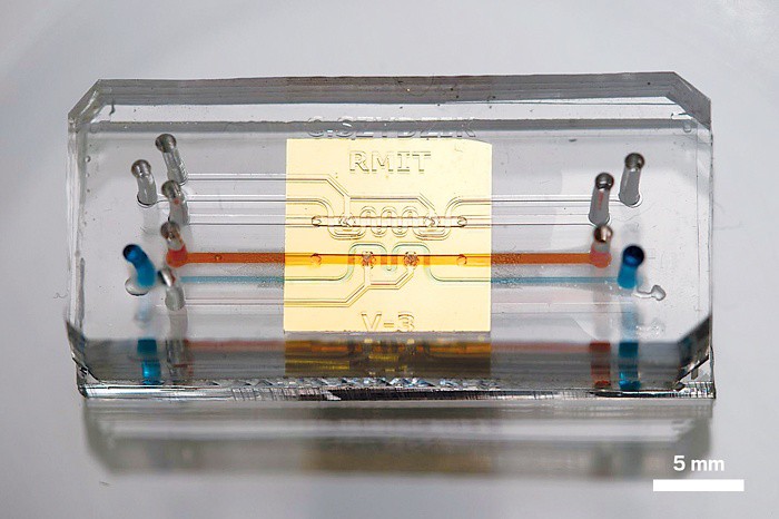 泛亚电竞_南北名优特农产品联展直销平台在陕启动